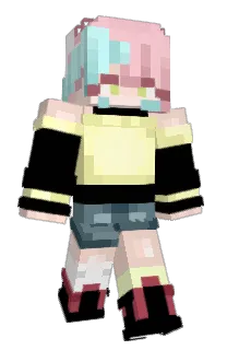 Front of Visqin's skin