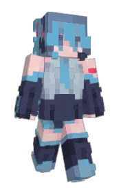 Skin preview