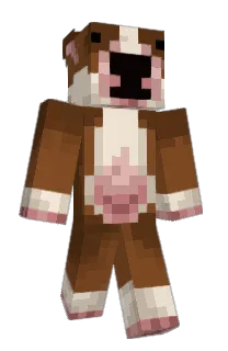 Front of HarucitoOLG's skin