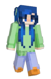 Skin preview