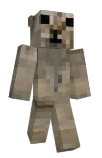 Front of Minecraft skin