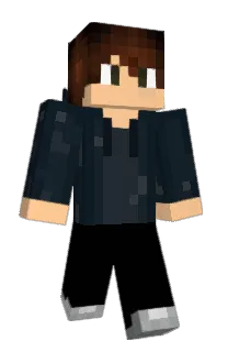 Front of bagcube's skin
