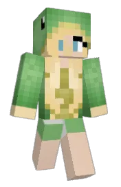 Skin preview