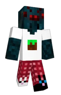Front of Minecraft skin