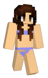 Back of SolarPilot_'s skin