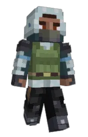 Skin preview