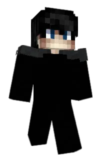Front of rodabout's skin