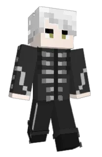 Front of ChunPork's skin