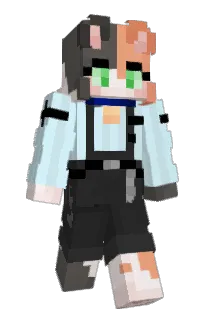 Front of Panda_Wife's skin