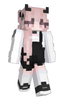 Front of Illyasviel's skin