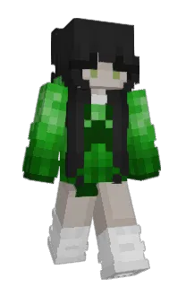Front of llzz's skin
