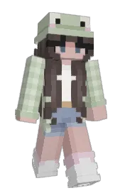 Skin preview