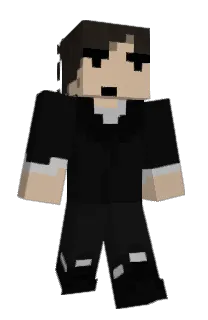 Front of Diploop's skin