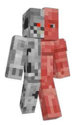 Minecraft skin — Classic model