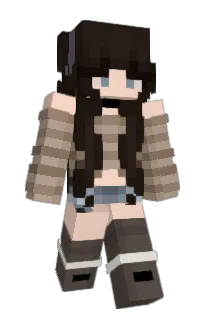 Front of L1306's skin