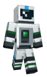 Minecraft skin — Classic model