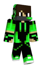 Skin preview