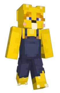 Front of ZLCu's skin