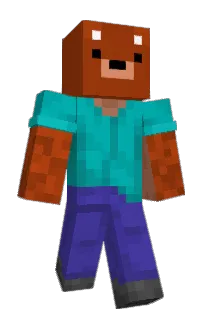 Front of Minecraft skin
