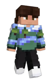 Front of vidsmate's skin