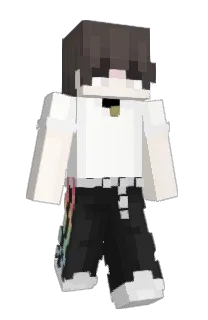 Front of aatchu's skin