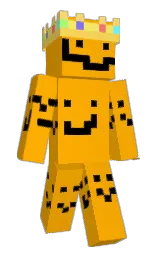 Doctor_villus's Minecraft skin wearing the Migrator cape