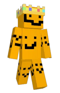 Front of Doctor_villus's skin
