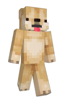 doqes's Minecraft skin