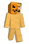 SknyLgndMoose