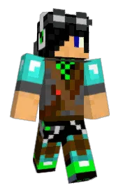 Skin preview