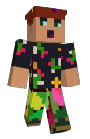 Skin preview