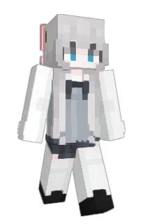 Front of imZym's skin