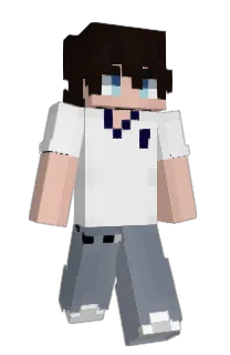 Front of Bs1i's skin