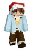 HamTheHuman