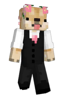 a1denapple Minecraft avatar full body
