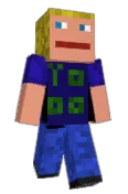 Ninjavis
