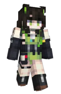 Front of Toumelon's skin