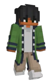 Skin preview
