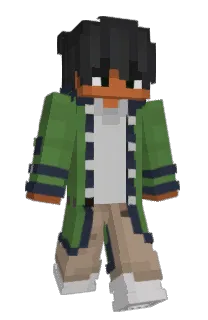 Front of conceps's skin