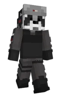 Front of DroppingQ's skin