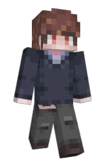 ksmksks's Minecraft skin