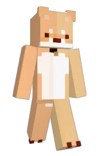 Front of Weggeschickte's skin