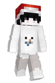 a1rforce_ Minecraft avatar full body