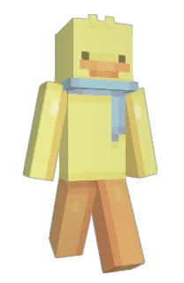 Front of Bird8677's skin