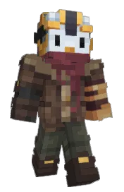 Skin preview