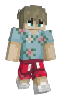 Front of P1kseloza's skin