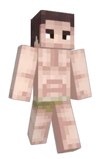 bushtail's Minecraft skin
