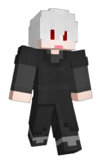 Front of 55odam's skin