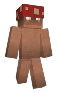 Front of WbWb's skin
