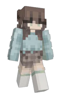 Front of Colliy's skin